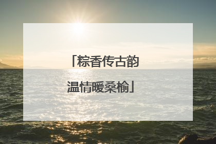 粽香传古韵 温情暖桑榆