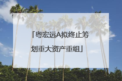 粤宏远A拟终止筹划重大资产重组