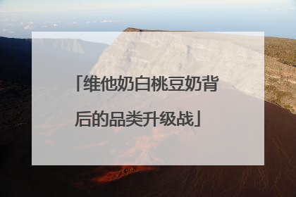 维他奶白桃豆奶背后的品类升级战