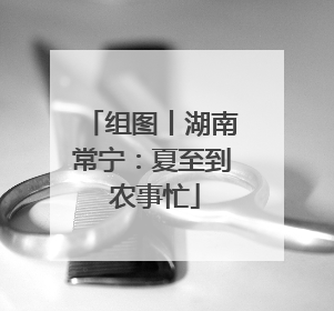 组图丨湖南常宁：夏至到 农事忙