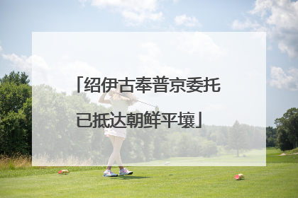 绍伊古奉普京委托已抵达朝鲜平壤