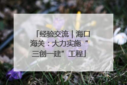经验交流｜海口海关：大力实施“三创一建”工程