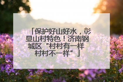 保护好山好水，彰显山村特色！济南钢城区“村村有一样 村村不一样”