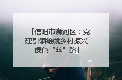 信阳市浉河区：党建引领绘就乡村振兴绿色“丝”路