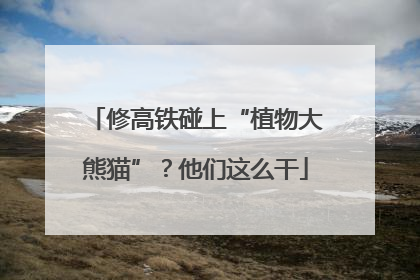 修高铁碰上“植物大熊猫”？他们这么干