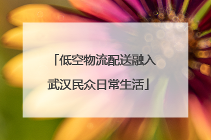低空物流配送融入武汉民众日常生活