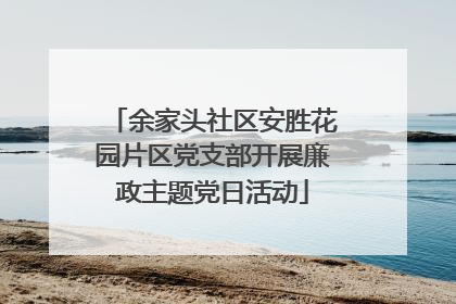 余家头社区安胜花园片区党支部开展廉政主题党日活动