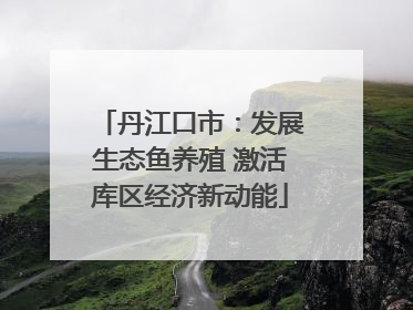 丹江口市：发展生态鱼养殖 激活库区经济新动能