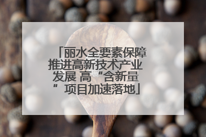 丽水全要素保障推进高新技术产业发展 高“含新量”项目加速落地