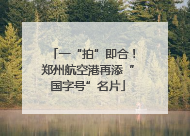 一“拍”即合！郑州航空港再添“国字号”名片