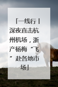 一线行丨深夜直击杭州机场，浙产杨梅“飞”赴各地市场
