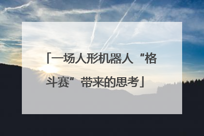 一场人形机器人“格斗赛”带来的思考