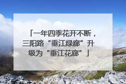 一年四季花开不断，三阳路“垂江绿廊”升级为“垂江花廊”