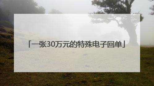 一张30万元的特殊电子回单