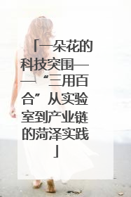 一朵花的科技突围——“三用百合”从实验室到产业链的菏泽实践