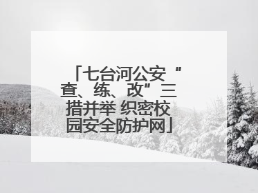 七台河公安“查、练、改”三措并举 织密校园安全防护网