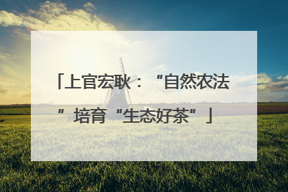 上官宏耿：“自然农法”培育“生态好茶”