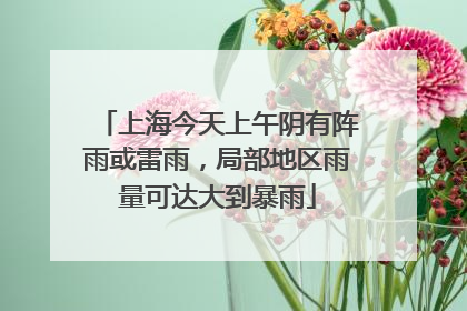 上海今天上午阴有阵雨或雷雨，局部地区雨量可达大到暴雨