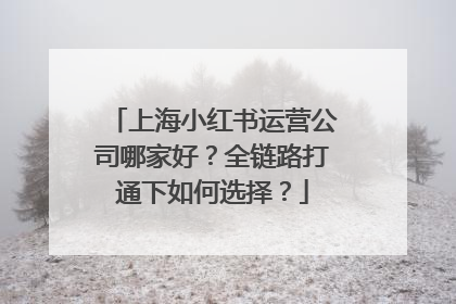 上海小红书运营公司哪家好？全链路打通下如何选择？