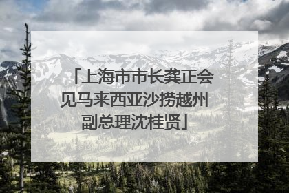 上海市市长龚正会见马来西亚沙捞越州副总理沈桂贤
