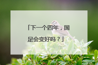 下一个四年，国足会变好吗？