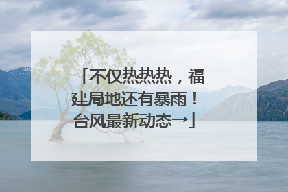 不仅热热热，福建局地还有暴雨！台风最新动态→