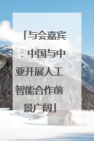 与会嘉宾：中国与中亚开展人工智能合作前景广阔