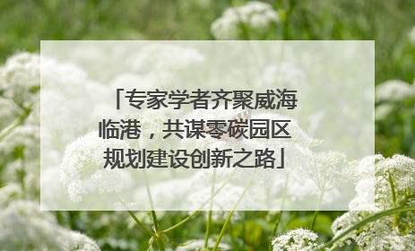 专家学者齐聚威海临港，共谋零碳园区规划建设创新之路