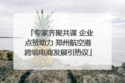 专家齐聚共谋 企业点赞助力 郑州航空港跨境电商发展引热议