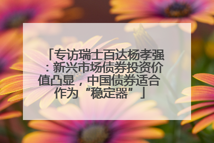 专访瑞士百达杨孝强：新兴市场债券投资价值凸显，中国债券适合作为“稳定器”