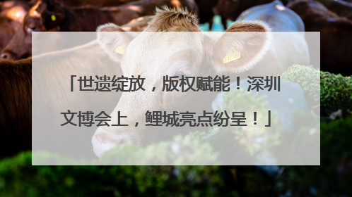 世遗绽放，版权赋能！深圳文博会上，鲤城亮点纷呈！