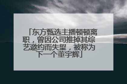 东方甄选主播顿顿离职，曾因公司推掉其综艺邀约而失望，被称为下一个董宇辉