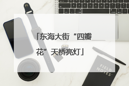东海大街“四瓣花”天桥亮灯