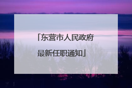 东营市人民政府最新任职通知