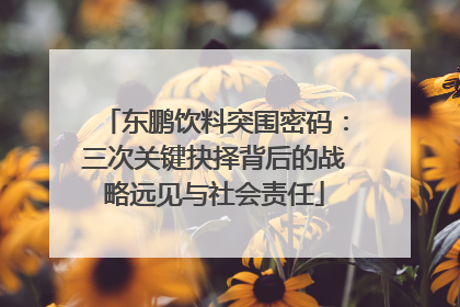 东鹏饮料突围密码：三次关键抉择背后的战略远见与社会责任
