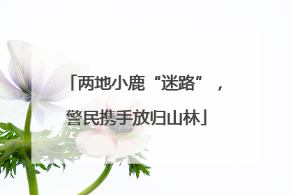 两地小鹿“迷路”，警民携手放归山林