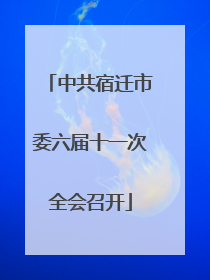 中共宿迁市委六届十一次全会召开