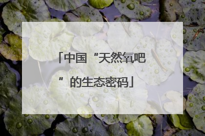 中国“天然氧吧”的生态密码