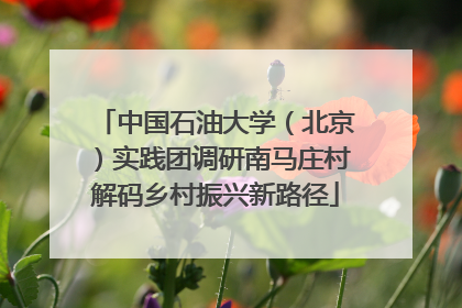 中国石油大学（北京）实践团调研南马庄村解码乡村振兴新路径