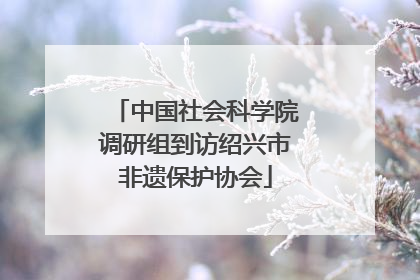 中国社会科学院调研组到访绍兴市非遗保护协会