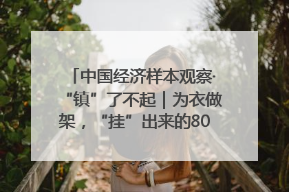 中国经济样本观察·“镇”了不起｜为衣做架，“挂”出来的80亿元“衣架产业”