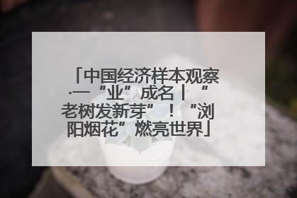 中国经济样本观察·一“业”成名丨“老树发新芽”！“浏阳烟花”燃亮世界