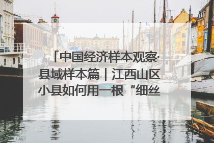 中国经济样本观察·县域样本篇｜江西山区小县如何用一根“细丝”拉出百亿级产业？