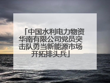 中国水利电力物资华南有限公司党员突击队勇当新能源市场开拓排头兵