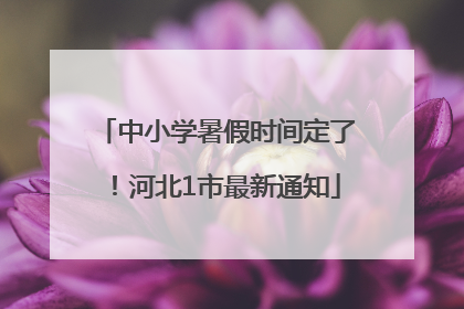 中小学暑假时间定了！河北1市最新通知