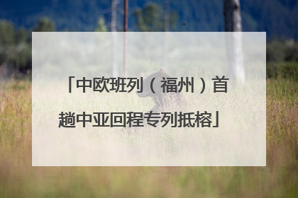 中欧班列（福州）首趟中亚回程专列抵榕