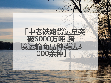 中老铁路货运量突破6000万吨 跨境运输商品种类达3000余种