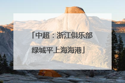 中超：浙江俱乐部绿城平上海海港