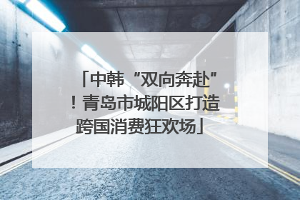 中韩“双向奔赴”！青岛市城阳区打造跨国消费狂欢场