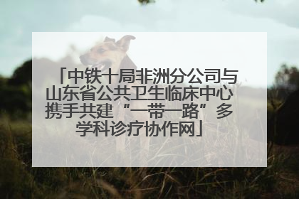 中铁十局非洲分公司与山东省公共卫生临床中心携手共建“一带一路”多学科诊疗协作网